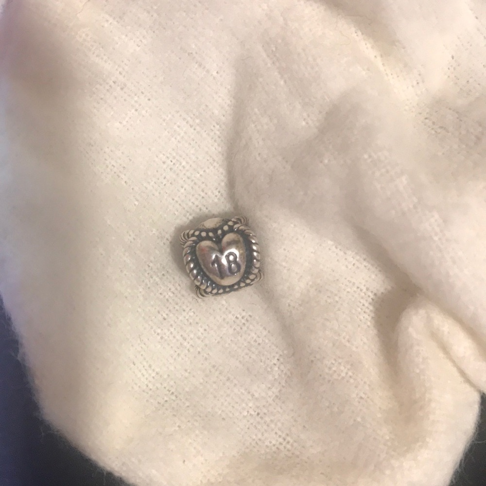 Pandora bead | For the big 18